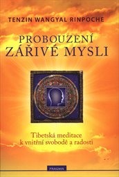 Probouzení zářivé mysli