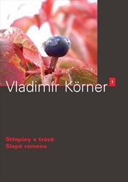 Slepé rameno