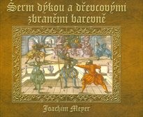 Šerm dýkou a dřevcovými zbraněmi