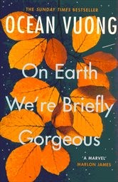 On earth we're briefly gorgeous