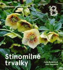 Stínomilné trvalky