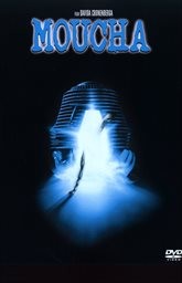 The fly