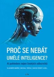 Proč se nebát umělé inteligence?